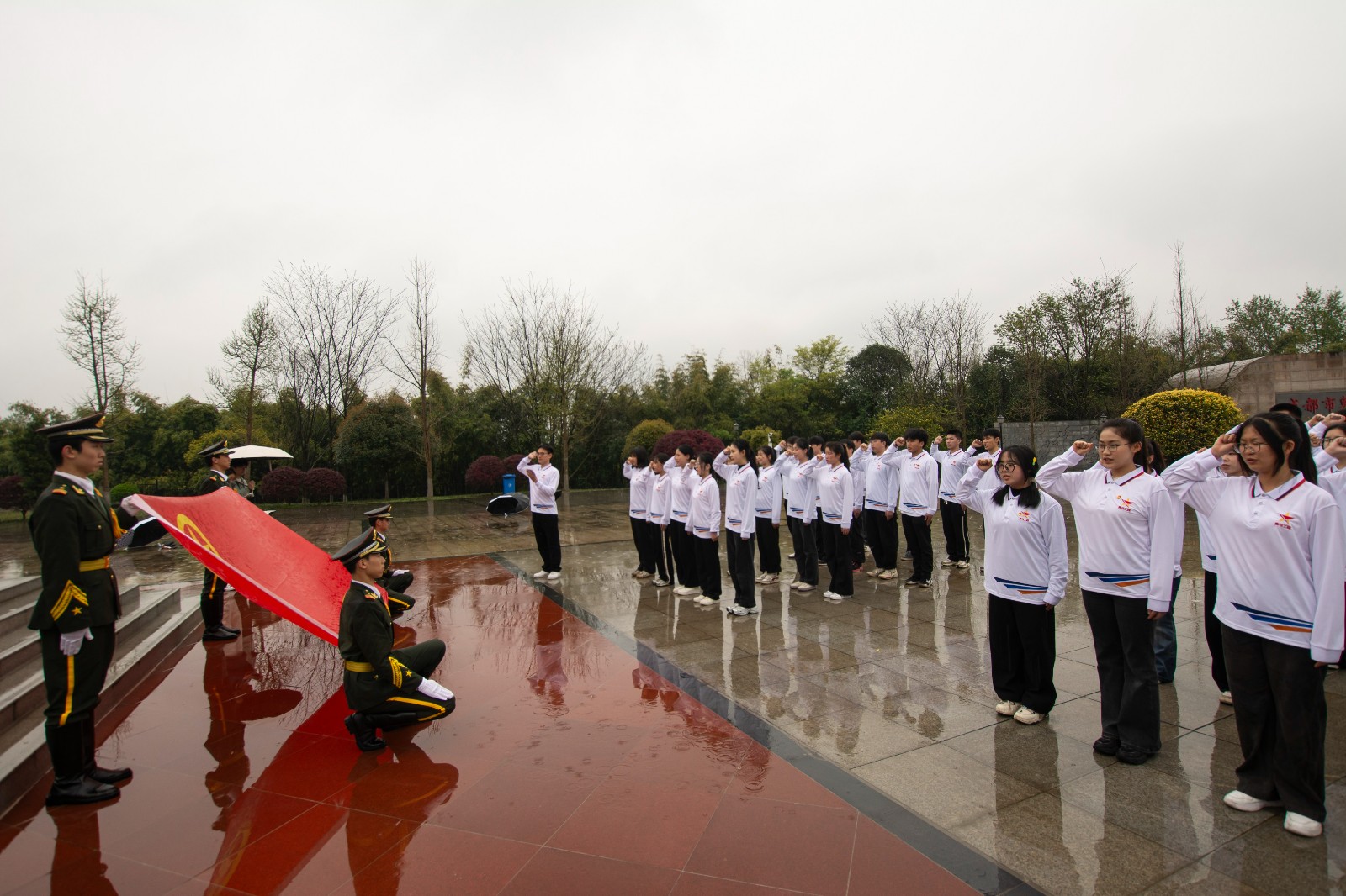 YZW_0371.JPG